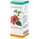 BioModular 20ml